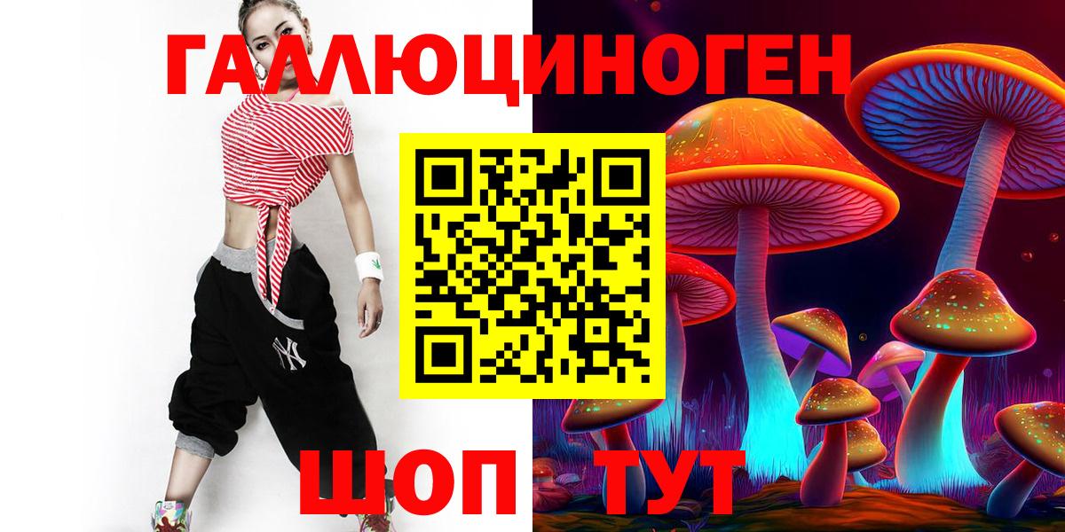 Галлюциногенные грибы мицелий  Псилоцибиновые грибы прущие грибы  наркошоп  Черногорск  Вход с VPN 